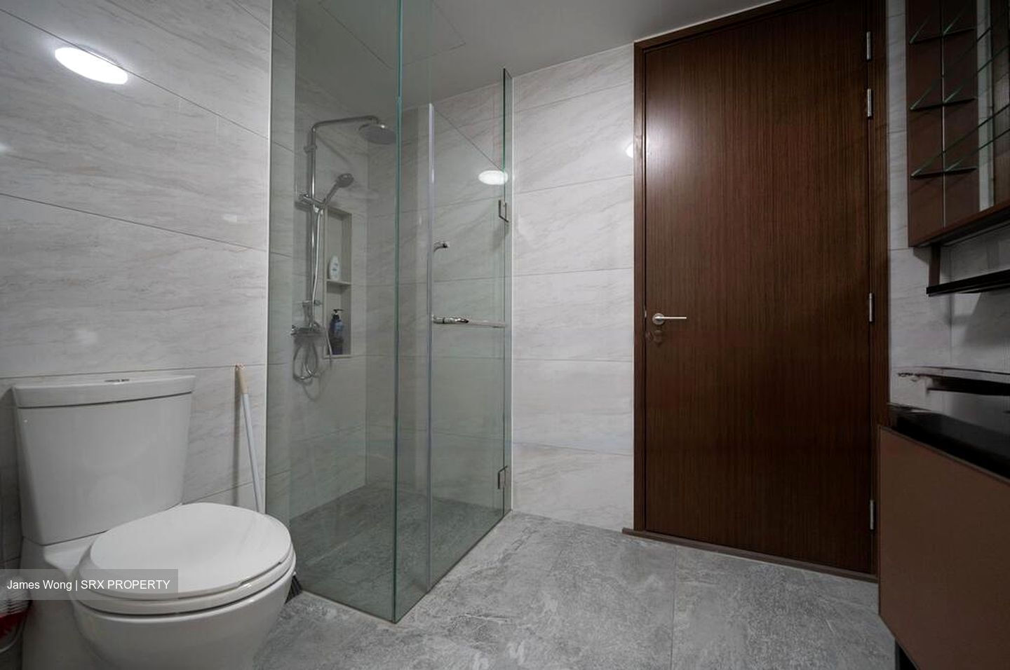 Normanton Park (D5), Apartment #458866491